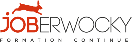 LOGO JOBERWOCKY FORMATION CONTINUE PETIT 3